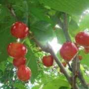 ヒメ日記 2025/05/09 15:54 投稿 いずみ 人妻の雫 岡山店