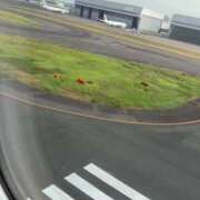 ヒメ日記 2025/09/01 07:44 投稿 いずみ 人妻の雫 岡山店