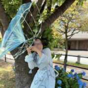 ヒメ日記 2026/07/09 07:34 投稿 いずみ 人妻の雫 岡山店