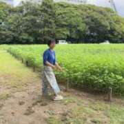 ヒメ日記 2026/09/27 07:44 投稿 いずみ 人妻の雫 岡山店