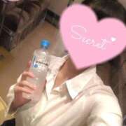 ヒメ日記 2025/08/06 18:13 投稿 ゆあ(優雅な魅力に股間爆発) 学園天国