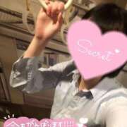 ヒメ日記 2026/01/27 18:03 投稿 ゆあ(優雅な魅力に股間爆発) 学園天国