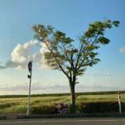 ヒメ日記 2025/02/21 11:40 投稿 みこと 東京エステコレクション 新橋・銀座