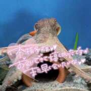 ヒメ日記 2025/06/27 18:20 投稿 みな　業界未経験 CHARMANT（シャルマン）