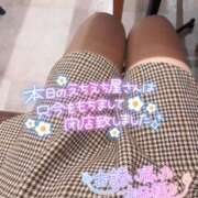 ヒメ日記 2024/12/29 23:15 投稿 あきな 和歌山人妻援護会