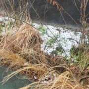 ヒメ日記 2025/03/19 13:11 投稿 あきな 和歌山人妻援護会