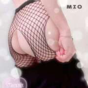 ヒメ日記 2024/12/16 22:30 投稿 綾瀬 みお 神戸RED DRAGON