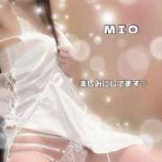 ヒメ日記 2024/12/19 10:15 投稿 綾瀬 みお 神戸RED DRAGON