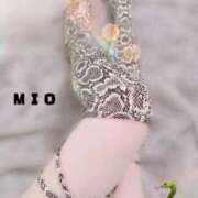 ヒメ日記 2025/01/01 23:00 投稿 綾瀬 みお 神戸RED DRAGON