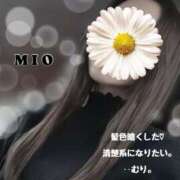 ヒメ日記 2025/02/08 00:16 投稿 綾瀬 みお 神戸RED DRAGON