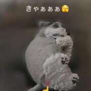 ヒメ日記 2025/02/17 18:16 投稿 綾瀬 みお 神戸RED DRAGON