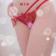 ヒメ日記 2025/03/16 10:01 投稿 綾瀬 みお 神戸RED DRAGON