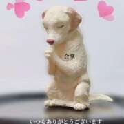 ヒメ日記 2025/03/28 10:45 投稿 綾瀬 みお 神戸RED DRAGON