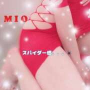 ヒメ日記 2025/04/01 21:15 投稿 綾瀬 みお 神戸RED DRAGON