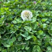 ヒメ日記 2025/04/12 12:45 投稿 綾瀬 みお 神戸RED DRAGON