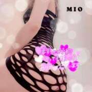 ヒメ日記 2025/11/05 08:09 投稿 綾瀬 みお 神戸RED DRAGON