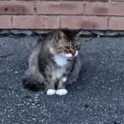 ヒメ日記 2025/07/24 11:53 投稿 聖(ひじり) 池袋角海老