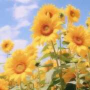 ヒメ日記 2026/07/14 12:29 投稿 聖(ひじり) 池袋角海老