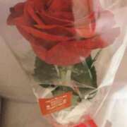 ヒメ日記 2025/01/21 06:02 投稿 桜井もも プレジデントハウス