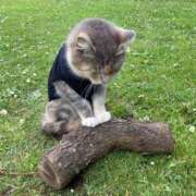 ヒメ日記 2025/11/23 12:38 投稿 桜井もも プレジデントハウス