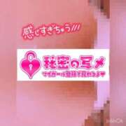 ヒメ日記 2024/06/29 20:15 投稿 うの サンキュー町田・相模原店