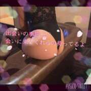 ヒメ日記 2025/04/19 11:40 投稿 かずき 妻天 尼崎店