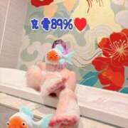 ヒメ日記 2025/10/26 16:20 投稿 かずき 妻天 尼崎店