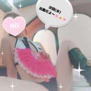 ヒメ日記 2026/03/30 11:23 投稿 かずき 妻天 尼崎店