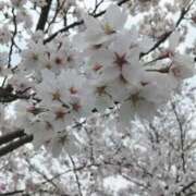 ヒメ日記 2026/03/30 16:50 投稿 かずき 妻天 尼崎店