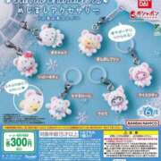 ヒメ ポチャッコ…🥲 ソープランドMAX‐マックス- 浅草店