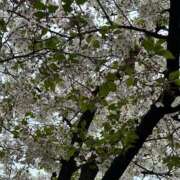 ヒメ おりまちゅ ソープランドMAX‐マックス-