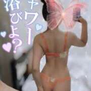 ヒメ日記 2025/05/19 01:53 投稿 みすみ アニバーサリー