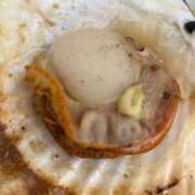 ヒメ日記 2025/05/22 18:53 投稿 みすみ アニバーサリー