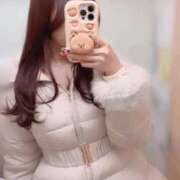 みすみ くましゃん アニバーサリー