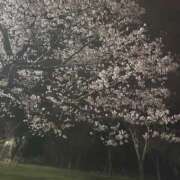 ヒメ日記 2025/04/29 17:29 投稿 くるみ ハピネス札幌