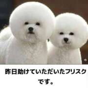 ヒメ日記 2025/05/13 17:19 投稿 みずほ One More 奥様　錦糸町店