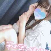 ヒメ日記 2025/01/19 08:44 投稿 モカ『プレミアキャスト』 CANDY