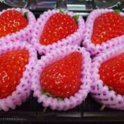 ヒメ日記 2025/01/13 20:27 投稿 レイカ ヴィーナス(金津園)