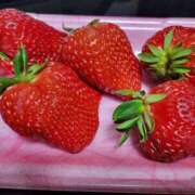 ヒメ日記 2025/02/22 19:33 投稿 レイカ ヴィーナス(金津園)