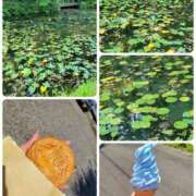 ヒメ日記 2025/06/29 10:51 投稿 レイカ ヴィーナス(金津園)