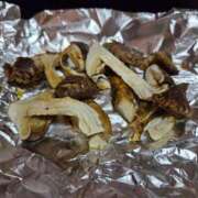 ヒメ日記 2025/10/17 08:27 投稿 レイカ ヴィーナス(金津園)