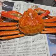 ヒメ日記 2026/01/01 15:48 投稿 レイカ ヴィーナス(金津園)