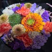 ヒメ日記 2026/02/20 12:18 投稿 レイカ ヴィーナス(金津園)