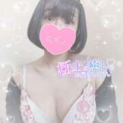 ヒメ日記 2025/01/25 12:12 投稿 なずな シャングリラ 呉〜桃源郷〜