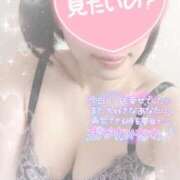 ヒメ日記 2025/02/24 02:45 投稿 なずな シャングリラ 呉〜桃源郷〜