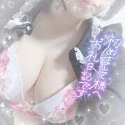 ヒメ日記 2025/03/10 16:45 投稿 なずな シャングリラ 呉〜桃源郷〜