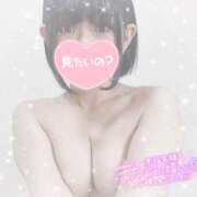 ヒメ日記 2025/03/11 11:01 投稿 なずな シャングリラ 呉〜桃源郷〜