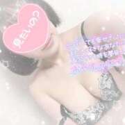 ヒメ日記 2025/04/11 02:45 投稿 なずな シャングリラ 呉〜桃源郷〜