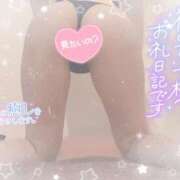 ヒメ日記 2025/05/29 17:25 投稿 なずな シャングリラ 呉〜桃源郷〜