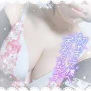 ヒメ日記 2025/06/06 22:10 投稿 なずな シャングリラ 呉〜桃源郷〜